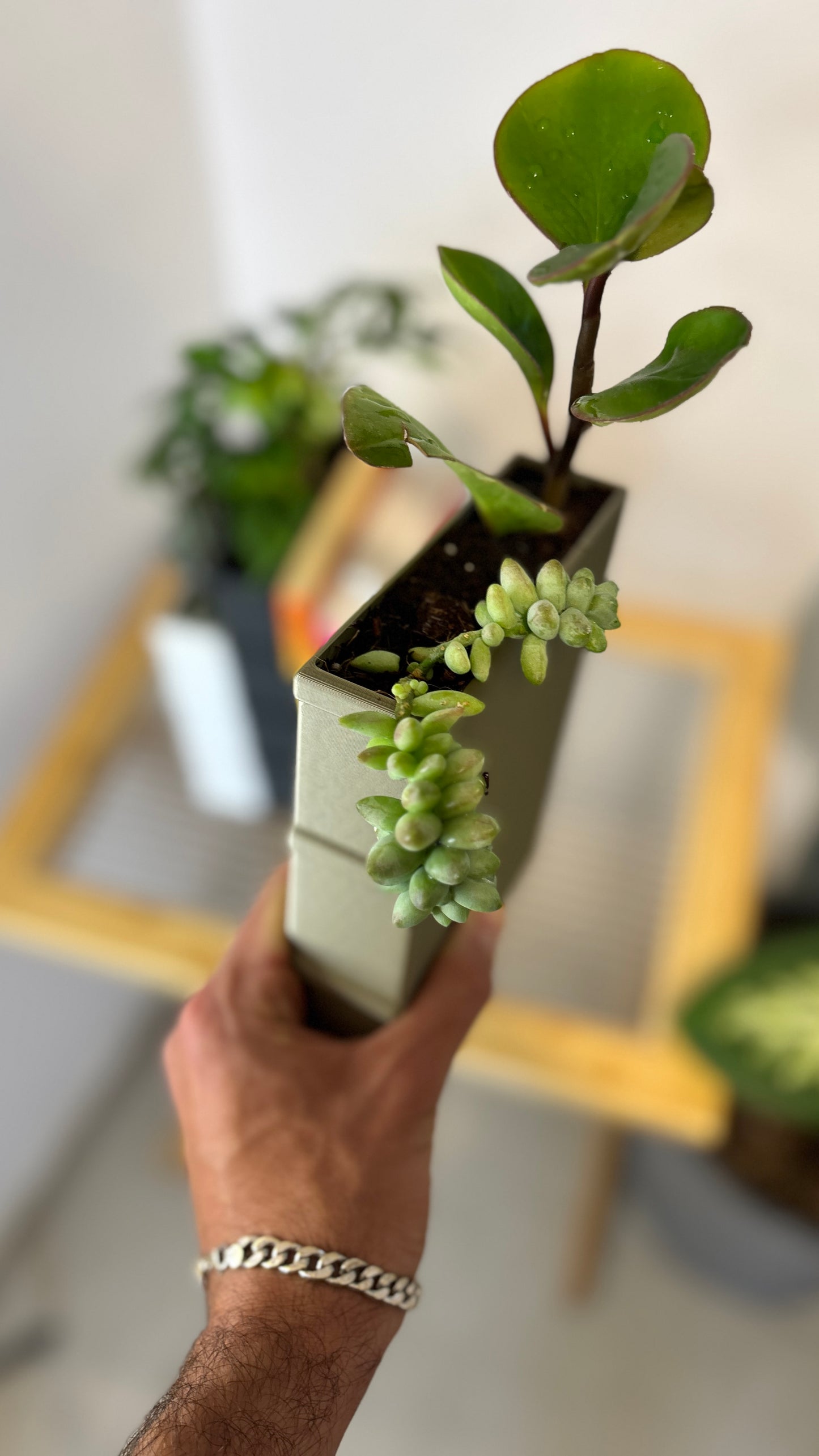 Book Shaped Book End Planters