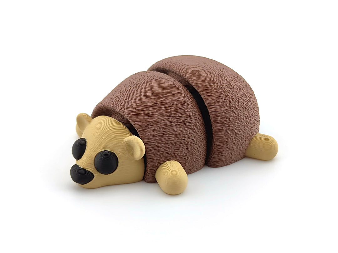 Baby Hedgehog