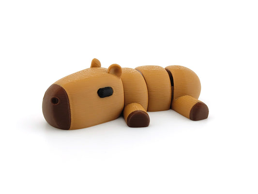 Baby Capybara