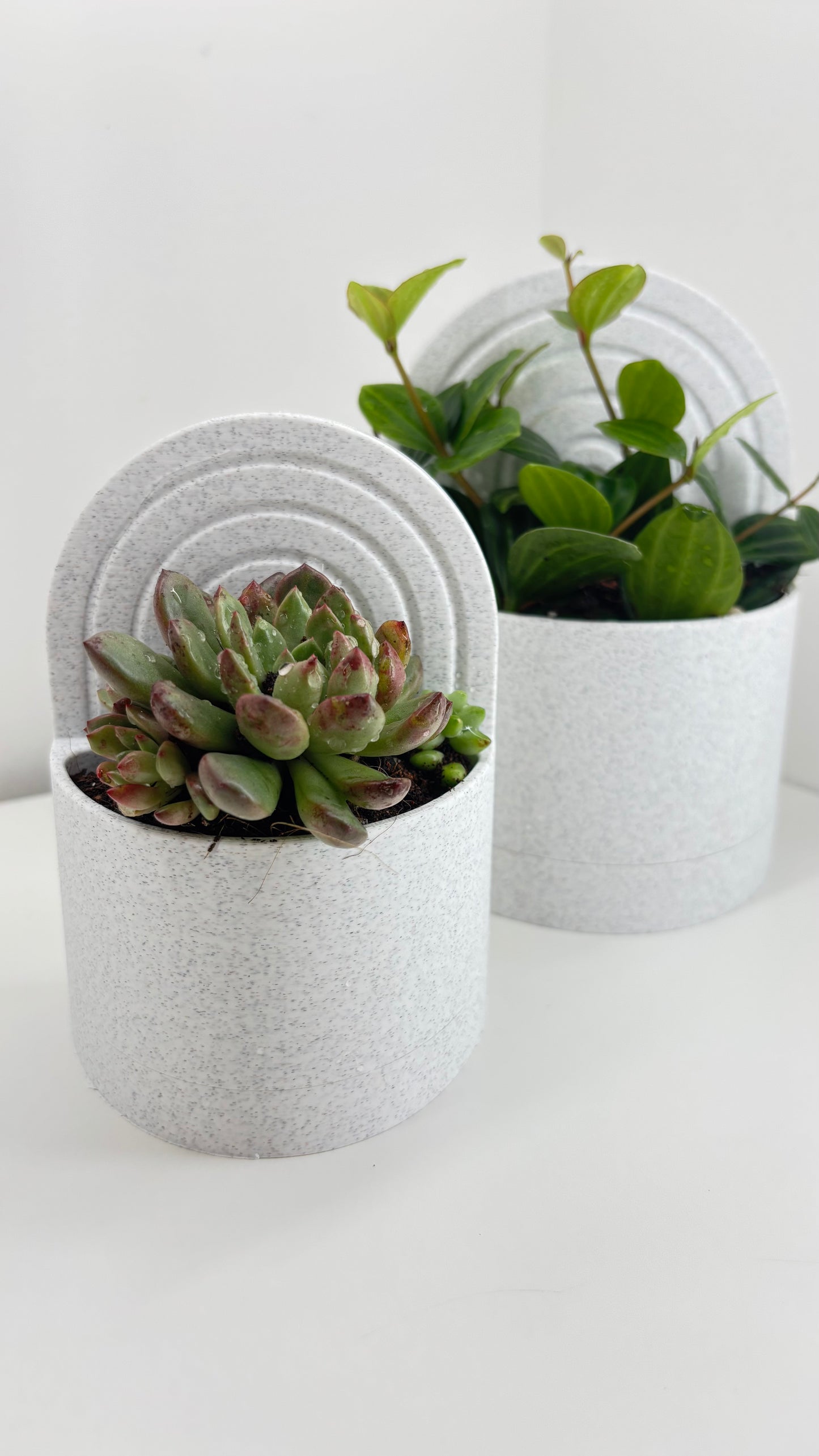Book End with Water Reservoir